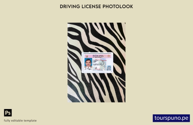 Plantilla FRONTAL lista para imprimir USA Indiana DL photolook